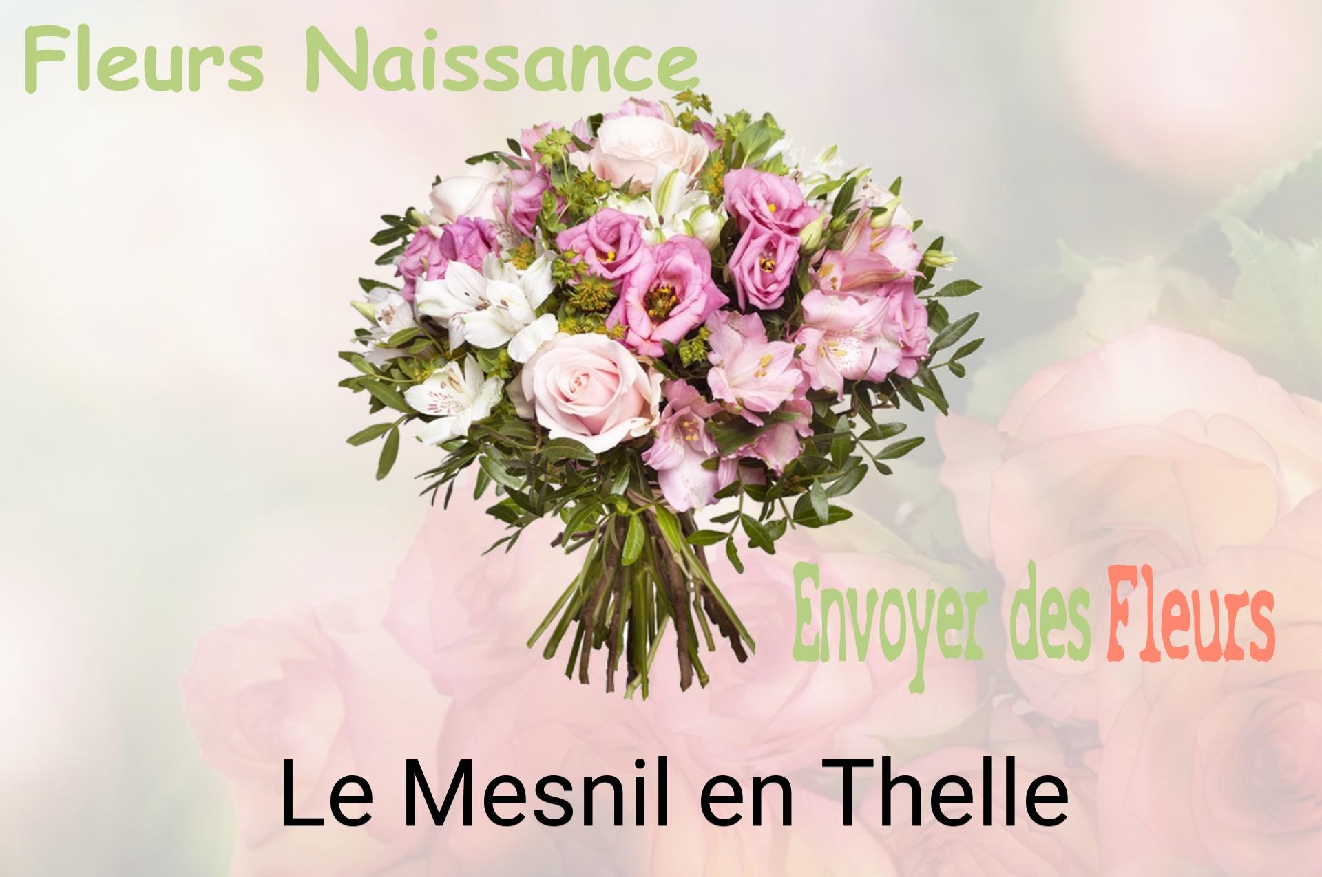 Bouquet de fleurs de naissance livré à Le Mesnil-en-Thelle